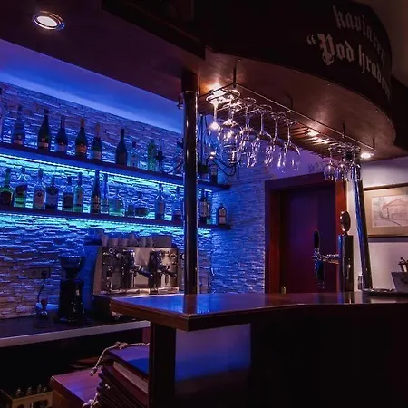 Pod Hradom Hotel Trencin