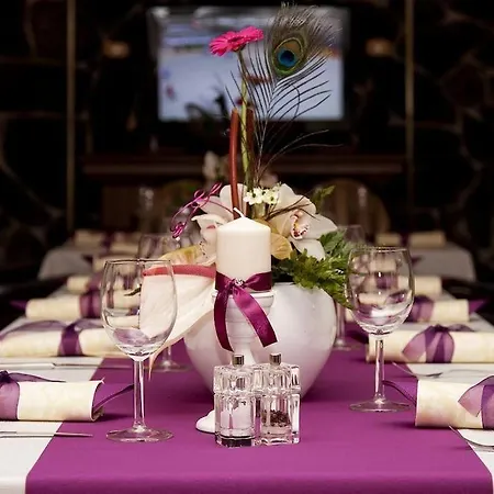 Pod Hradom Hotel 3*