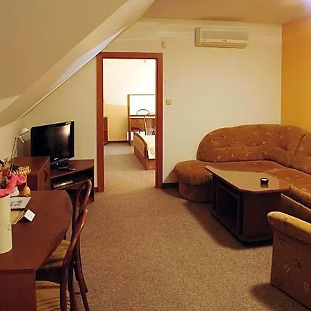Pod Hradom Hotel Trencin